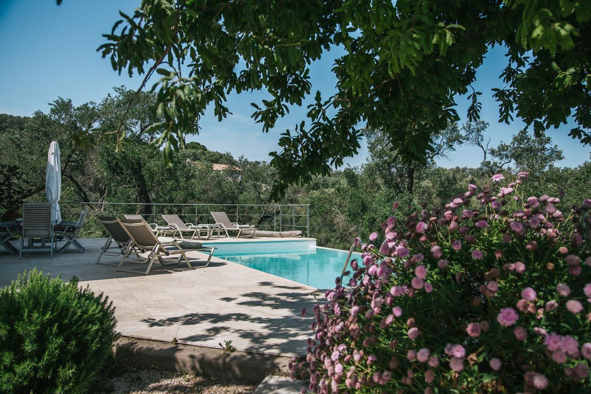 The pool at Mistral House shaded by trees, with sun loungers and flowering oleander
