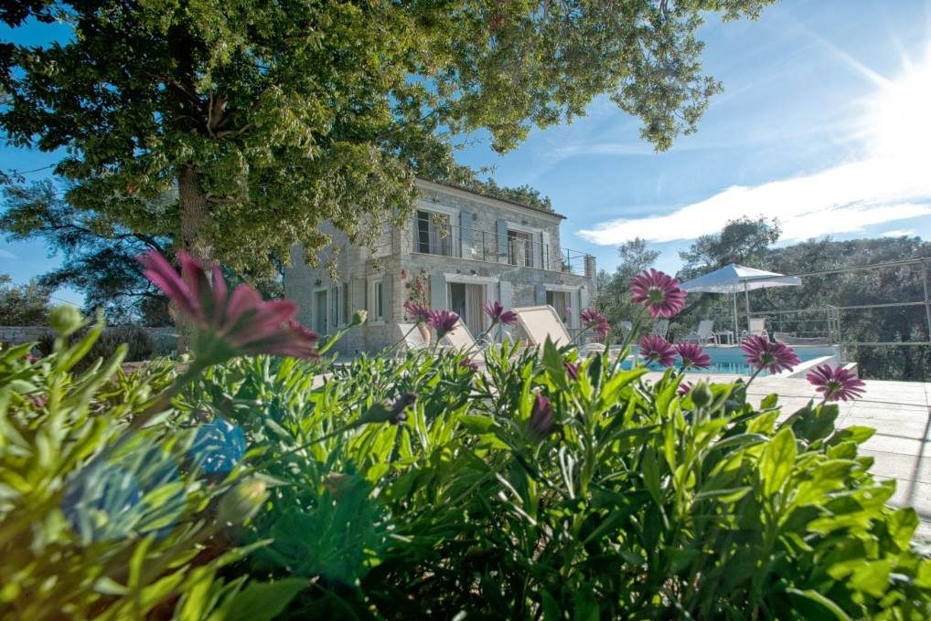 Mistral House seen through purple daisies, its stone facade and pool bathed in sunshine